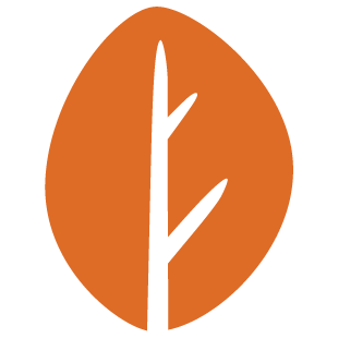 megafuns.xyz favicon